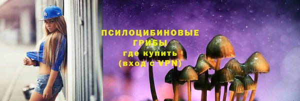 apvp Дмитров