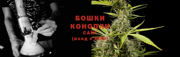 хмурый Дмитровск
