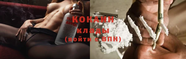 хмурый Дмитровск
