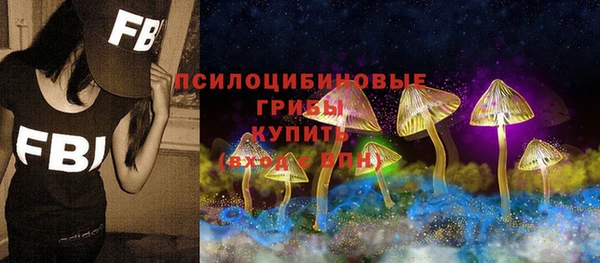 хмурый Дмитровск