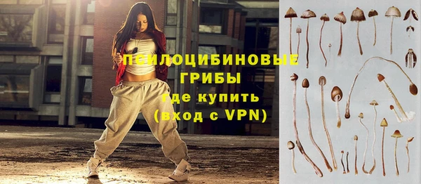 apvp Дмитров