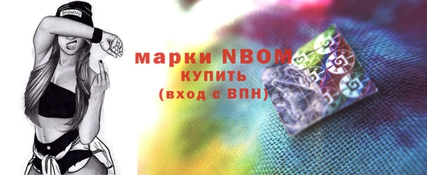 прущие грибы Гусев