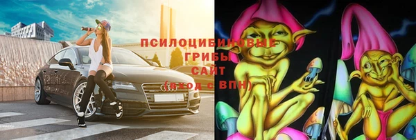 хмурый Дмитровск