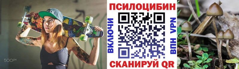 Галлюциногенные грибы MAGIC MUSHROOMS  Купить где  Партизанск 